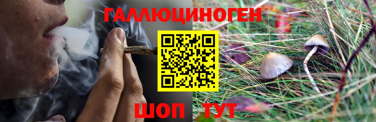 Псилоцибиновые грибы Magic Shrooms  Вход с VPN  где можно купить   Галлюциногенные грибы мухоморы  Бор 